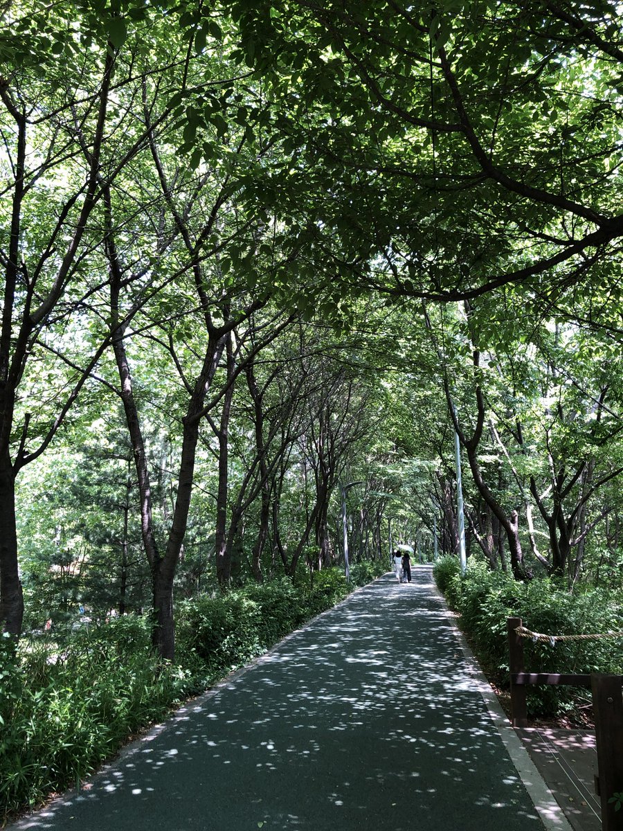 oeeee_o2's tweet photo. 초록아 사랑해 ~~~ 
🌳🍏🍃🌿🥦 https://t.co/9q9ncPxysB