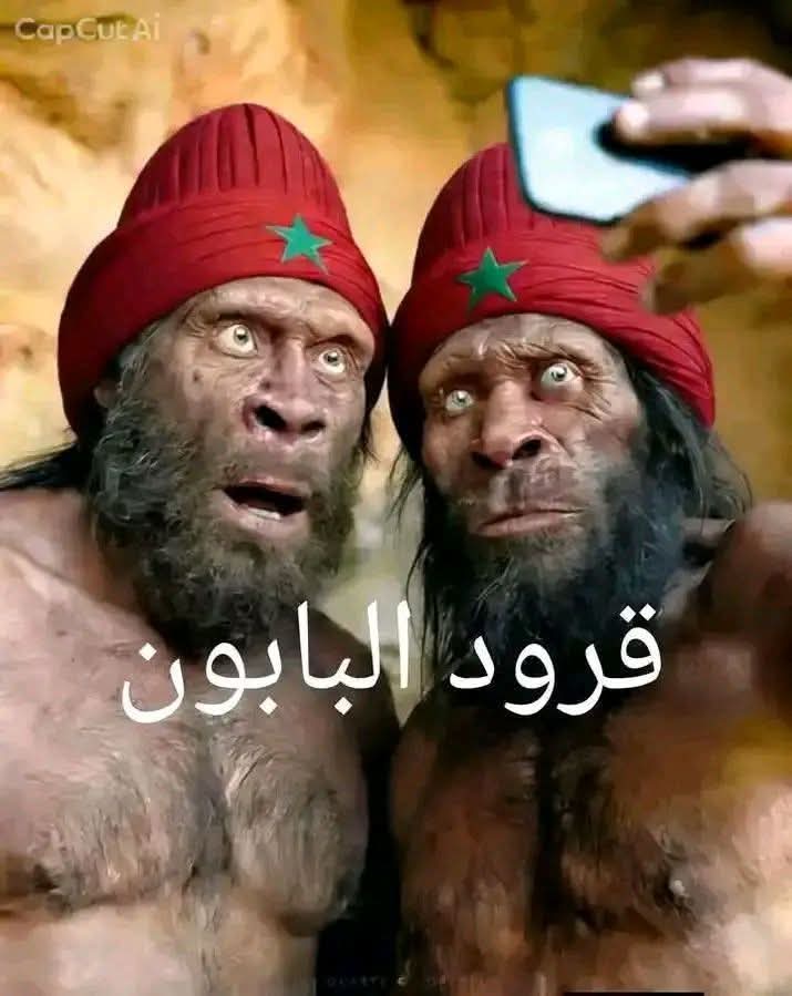 kachaou's tweet photo. @NovaSouad ديرو بينا الباز 🤣🤣🤣🤣 https://t.co/cMJuVYaThC