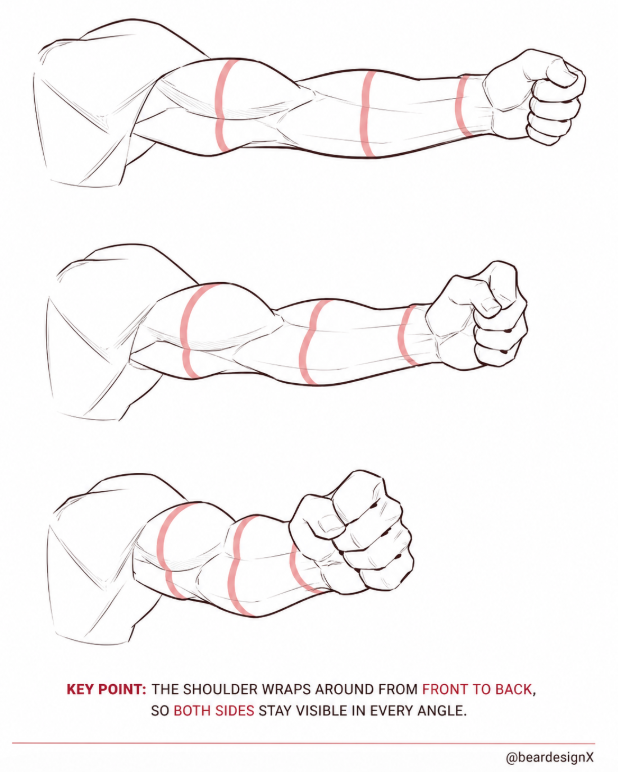 BearDesignX's tweet photo. biceps rotation https://t.co/Hkryv6VKuG