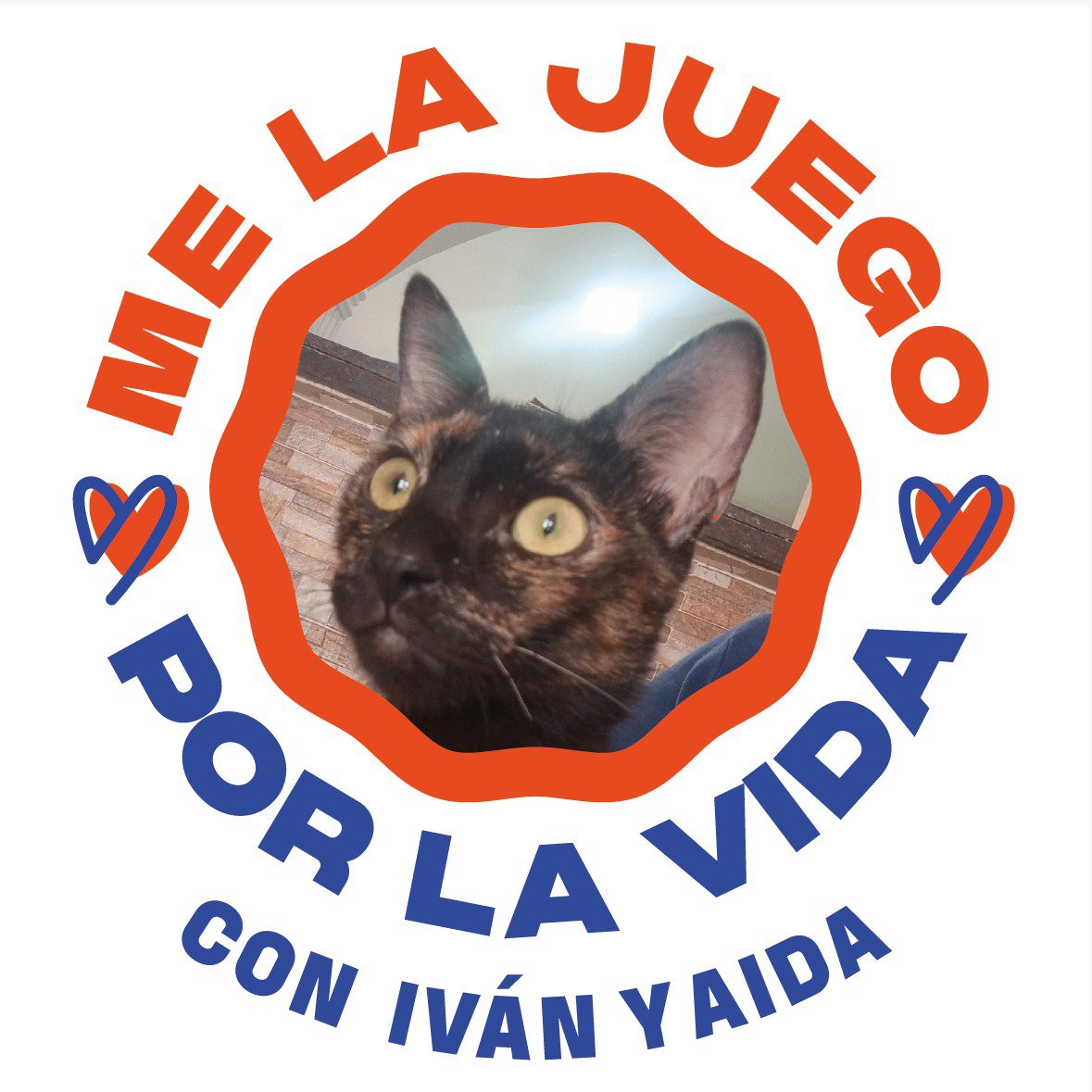 LadyPainSl's tweet photo. Spam de mascotas por la vida 🫰🏼🫰🏼

#VotaPorLaVida 
#MiVotoEsPorEllos
#MeLaJuegoPorLosAnimalitos https://t.co/OdWvA3t3j1