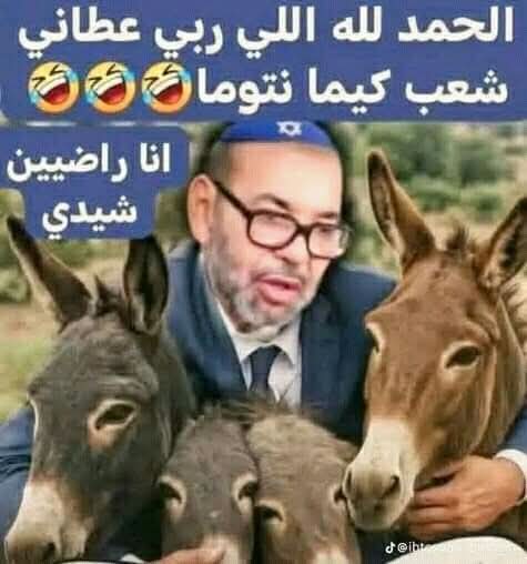 kachaou's tweet photo. @Hamid43838943 https://t.co/EqG5ZZHMU8