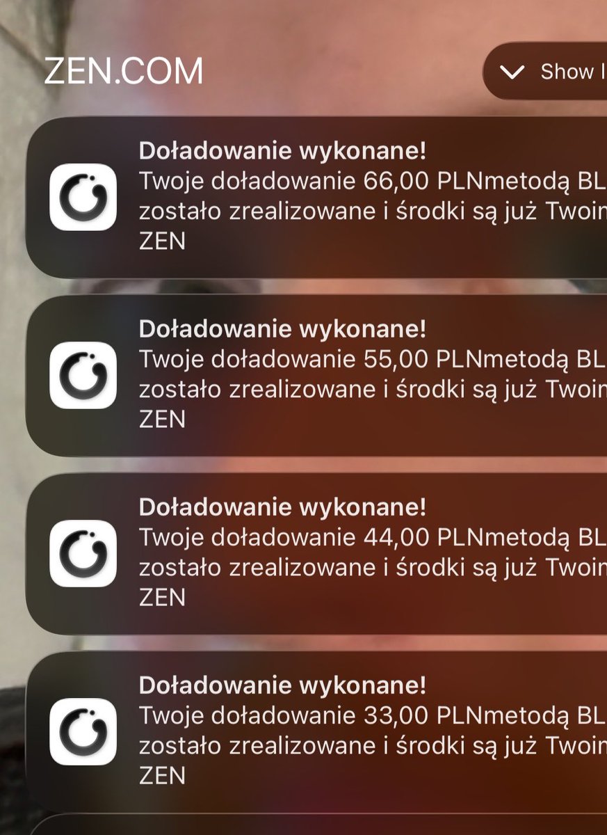 Panna Pracusińska tweet media