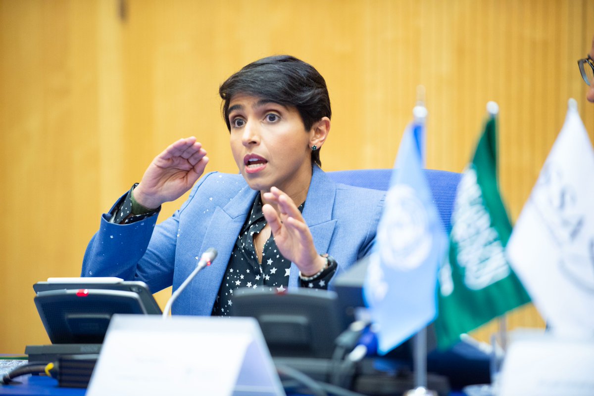 spacefutures_sa's tweet photo. The #Centre_For_Space_Futures participated in a panel discussion at #COPUOS 2026 in Vienna on “The Price of Progress: Space Debris and the Future of Sustainability.” https://t.co/cair77rBS1