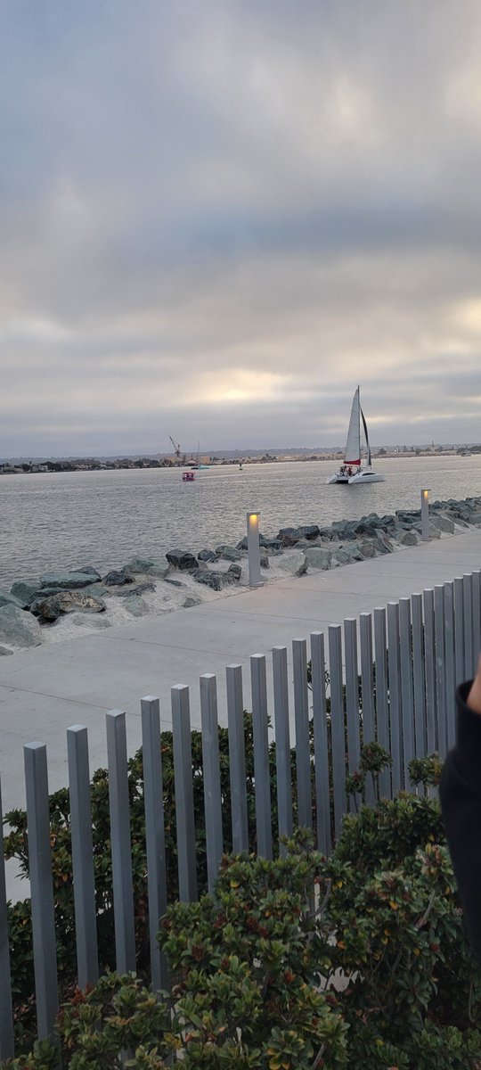 ChristineR2828's tweet photo. I'm from California but @theshellsd is the most California venue I've ever been to. It's so beautiful https://t.co/3nUzh6IEqo