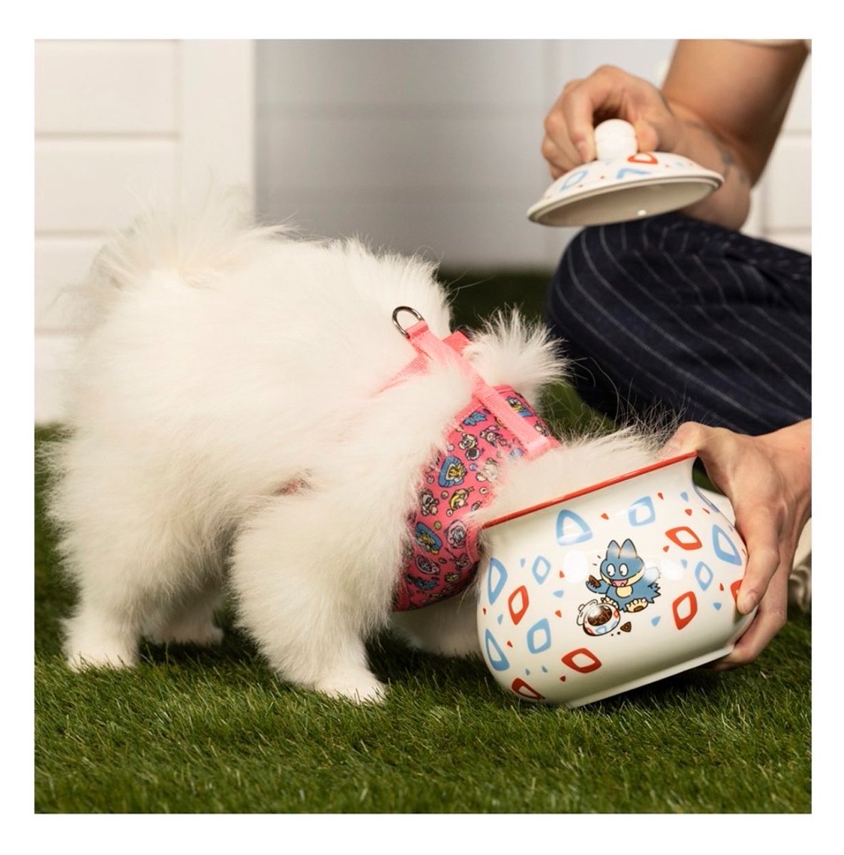 pikaccino's tweet photo. This picture of a dog being almost halfway into the treat jar has me dying. https://t.co/x9Jxz1vQkD