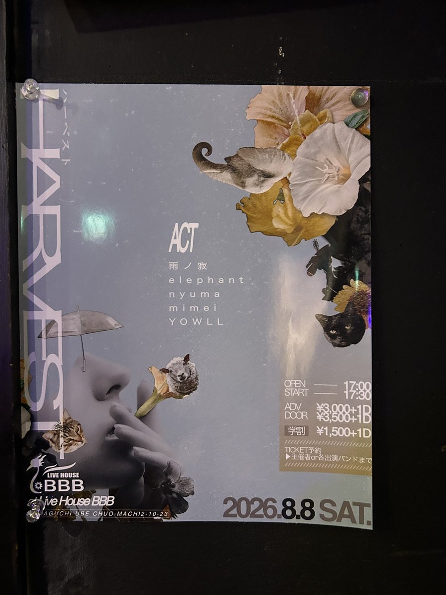 ba3_xtxmx's tweet photo. LIVE rise SHUNAN様にHARVESTのフライヤーを設置させて頂きました！！
riseはelephant、雨ノ寂、mimei、nyumaがお世話になったライブハウスで、私にとっても大切な大好きな場所です。
フライヤー見て面白そうだなって思った方は是非8/8宇部BBBで一緒に良い夏の夜を過ごしましょう⭐️ https://t.co/H1qJx9ktKH