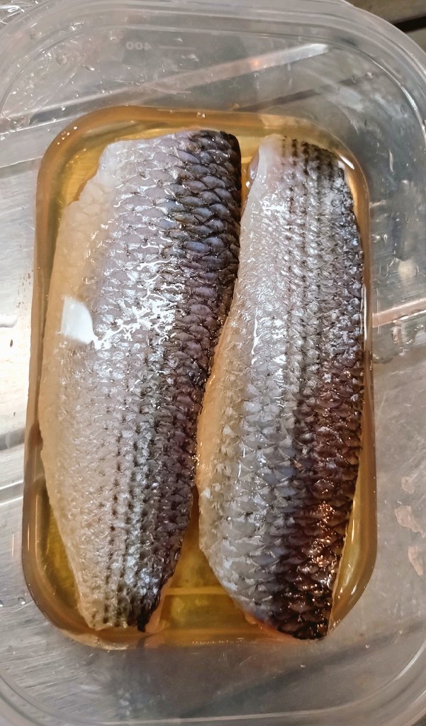 小ボラは塩締め30分からの昆布酢締め30分 