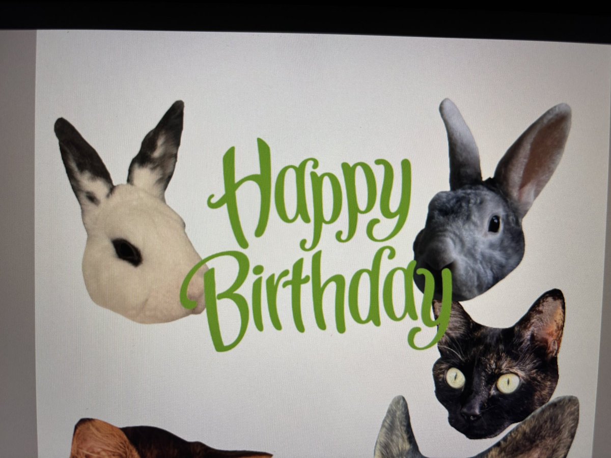 BackChara's tweet photo. A yearly tradition where I make my friends a crappy birthday card using their pets 

No full version allowed for y’all tho

#illustration #artmoots #arttwt #digitalartwork #digitalart #DigitalArtist #digitalillustration https://t.co/uYd7H4MRSE