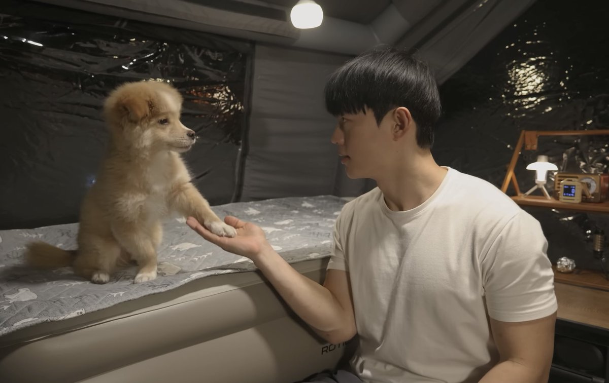 Donaldae's tweet photo. ป้ายยาช่อง Solo camping คนเกาหลีกับหมาชื่อโดรี 🏔️⛺️🐶👦🏻🌲✨ น่ารัก asmr ธรรมชาติ ชงกาแฟ ทำอาหาร กินเบียร์ เล่นกับหมา หล่อ introvert แอบเเซ่บ ปล. มีซับไทยด้วย !!! https://t.co/jBopoSg2du