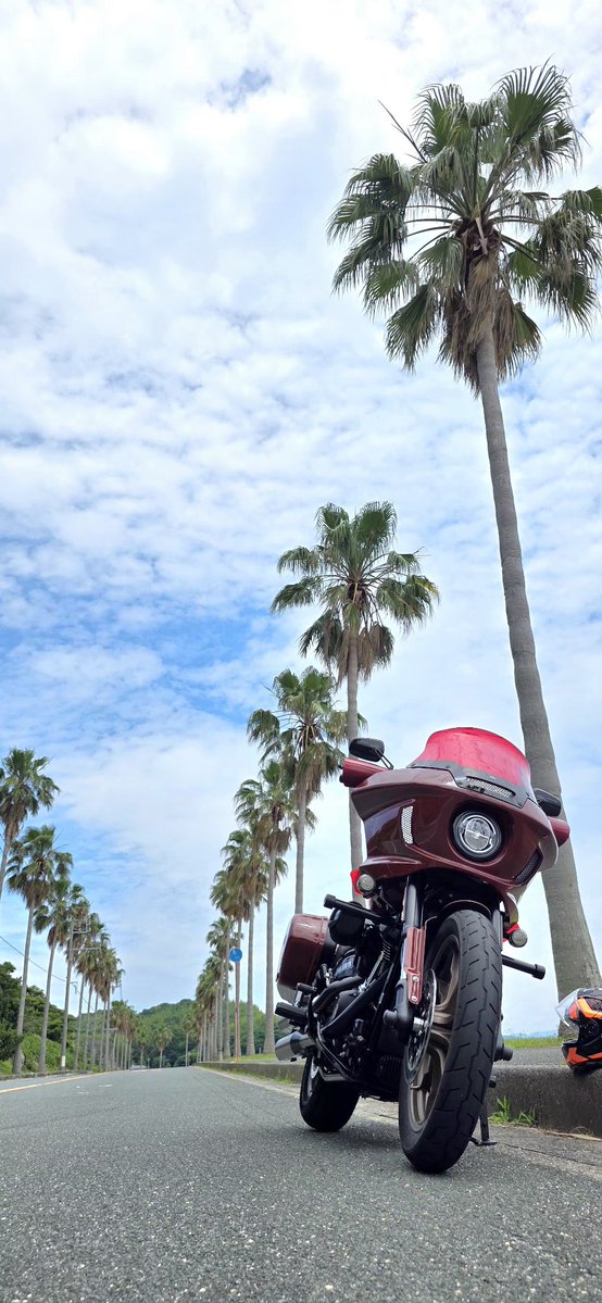 2019FXLRS's tweet photo. 愛知県蒲郡市の西浦シーサイドロード
通称 蒲フォルニアへ
ついでに渥美半島先端の伊良湖岬まで https://t.co/clxpUGhoCQ