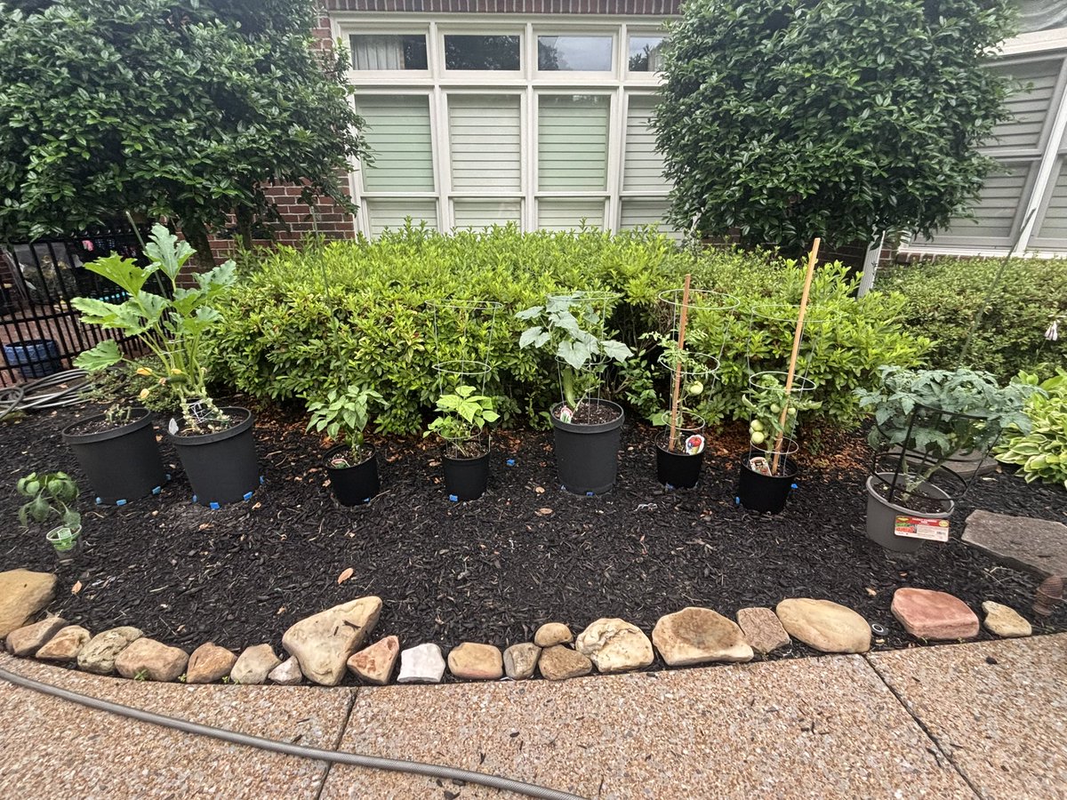 take2behbeh's tweet photo. @HunterBiden Starting a small garden has been my happy place lately https://t.co/w9Rs7JzLtV