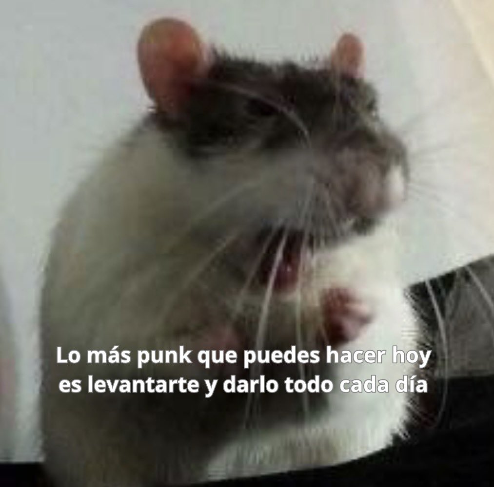 conoloracigarro's tweet photo. https://t.co/qaj5RTeol6