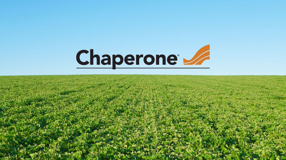 NufarmCA's tweet photo. Discover some weed escapes while scouting your soybeans? #Chaperone helps to take care of tough in-crop broadleaf weeds in your soybeans. Learn more: https://t.co/vi2V223YVs #EastCdnAg #OntAg https://t.co/cwIffhmm1P