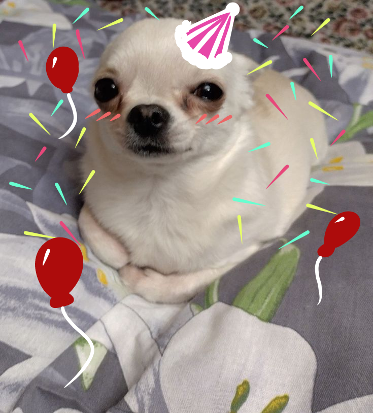 Kokomo_Pine's tweet photo. it's my birtthday!!🥳🥳🥳 https://t.co/mfKlciiErC