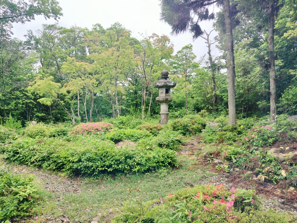 4738oa's tweet photo. ステ千穐楽にぎりぎり間に合わなかった新しい綿たちと、先日ようやくお出かけしてきました

🌙🌸よいたんの竜のお城のお庭の一角にこういうとこありそう…と妄想楽しめる素敵なお店でした✨️ https://t.co/sqhyRBsrAP