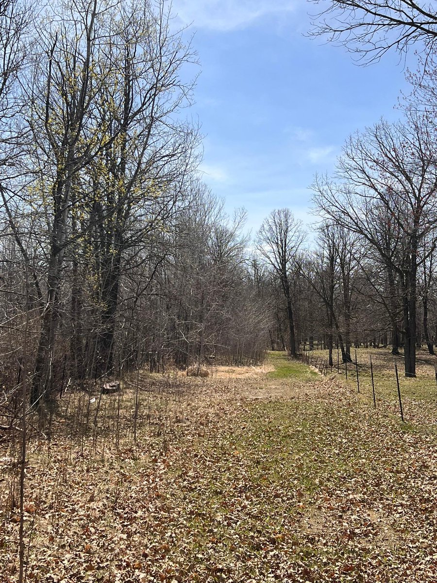 cedarpoint2020's tweet photo. 🏡 UNDER CONTRACT | 📍 TBD NW 148th Street, Cass Lake, MN 56633
💲 110,000 | 

https://t.co/pf4JJXUCXY https://t.co/dO14eWW7uc