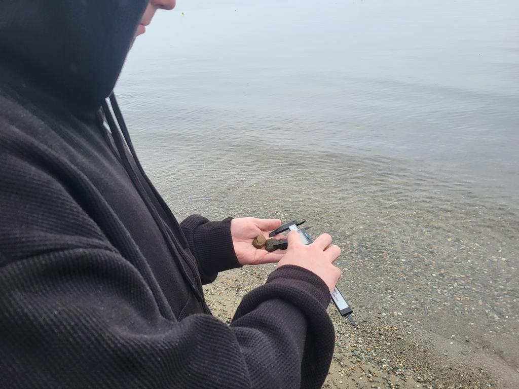 MissShawGeo's tweet photo. Carrying out a beach profile study at Luss and measuring with callipers ☔🌎 @StAndrewsRCSec https://t.co/ZLWgqEYV5F