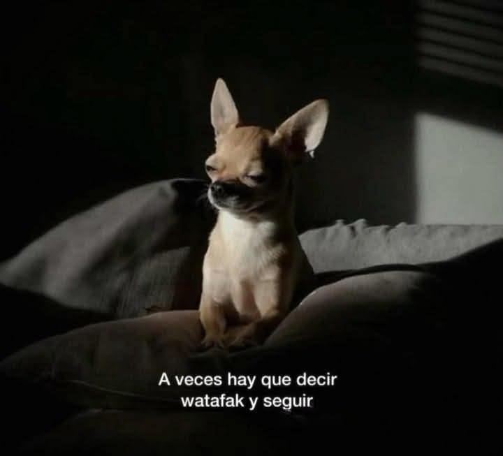 DeryaRamirez's tweet photo. https://t.co/3o5ETDeTJa