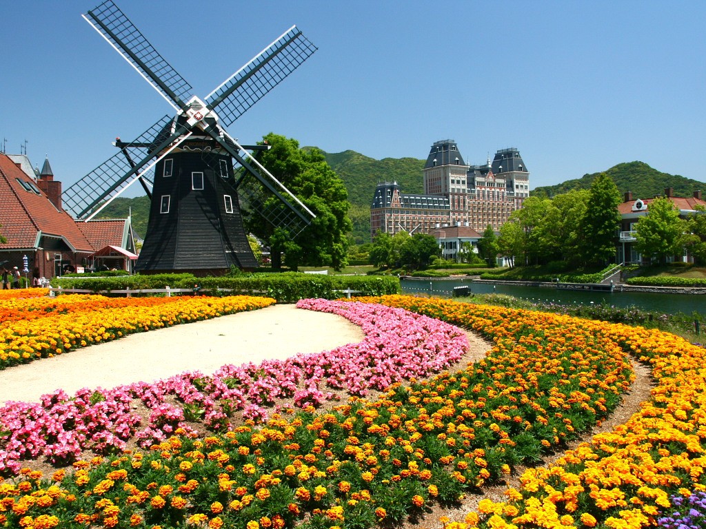 JapanEmbDC tweet picture