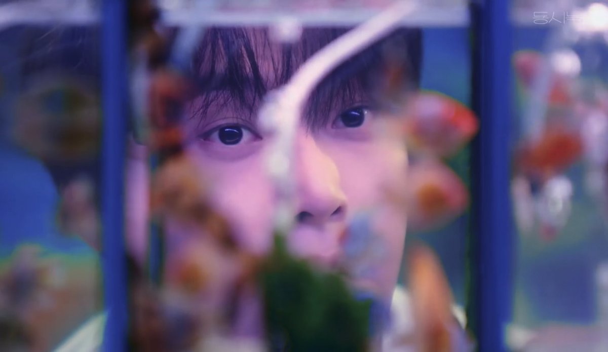 도도한빵 tweet media