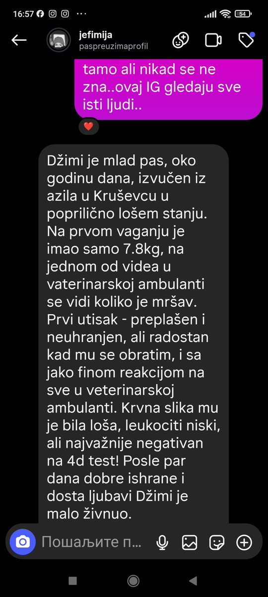 ZcecaSvetlana's tweet photo. Aloha drugari🍀, pa mislim da je redno da i ja udomim jednu neodoljivu njuskicu🤗🙈😂. Ovo je Dzimi The Barka (ovo iza Dzimi sam izmislila nekako se uklapa, kao moja Nina The Olosh🫣). Pise sve pod 3 i 4, jerbo nema toliko  karakt. koliko bi pisala. 🙏 najjaci RT. DM za dogovor. https://t.co/t0UwFwK3ZH
