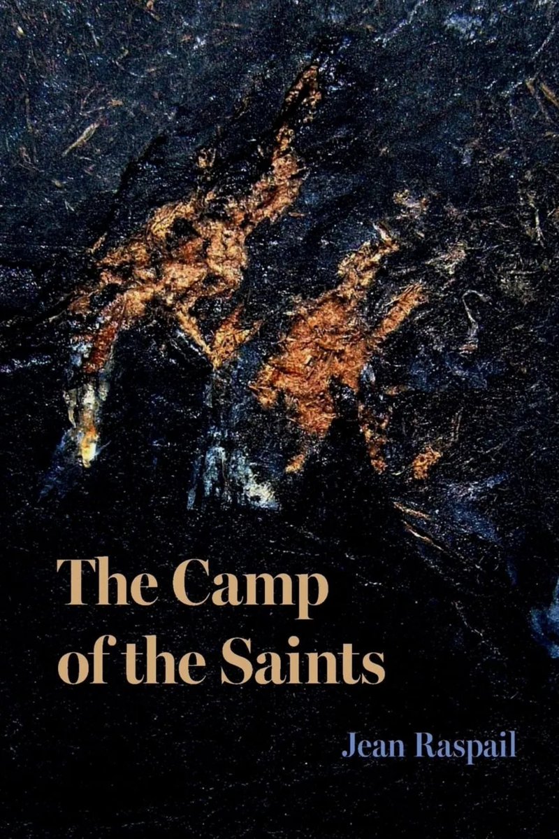 VaubanBooks's tweet photo. @Pontifex "Imagining that they see Christ in the migrants, the priests endow them with the power to purify and save the West. It is a messianic, eschatological vision. But in their myopia, they turn their backs on their own flock." - Nathan Pinkoski, The Camp of the Saints https://t.co/UZb8yfRU7W