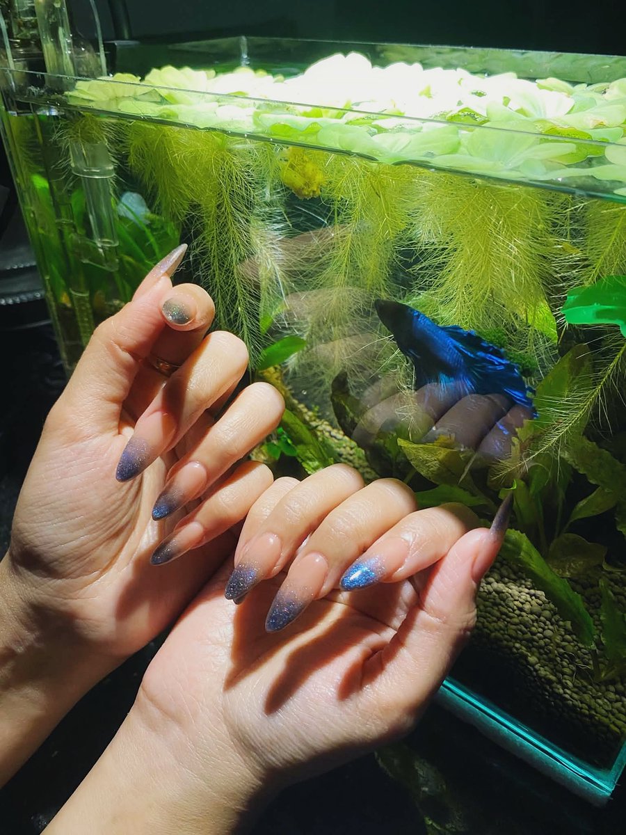 aricranz's tweet photo. mah first nail extension from my sis ft. varka the fih https://t.co/1vLX7HgWJf