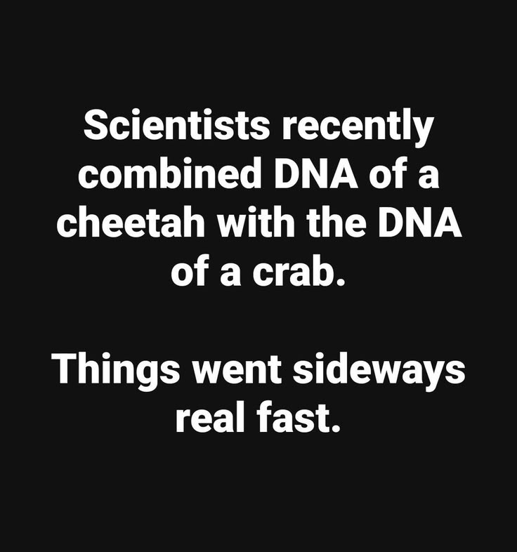 realbobandbrad's tweet photo. Sometimes science moves fast... sometimes it just moves sideways.

😂 Funny or no?

#DadJoke #ScienceHumor #MemeOfTheDay #BobAndBrad #LaughALittle https://t.co/k5czQPHziE