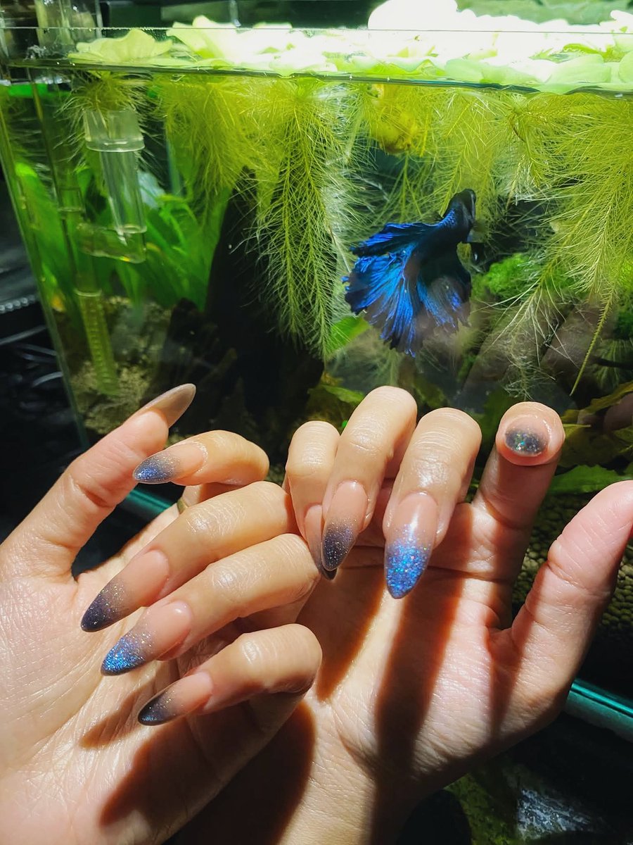 aricranz's tweet photo. mah first nail extension from my sis ft. varka the fih https://t.co/1vLX7HgWJf