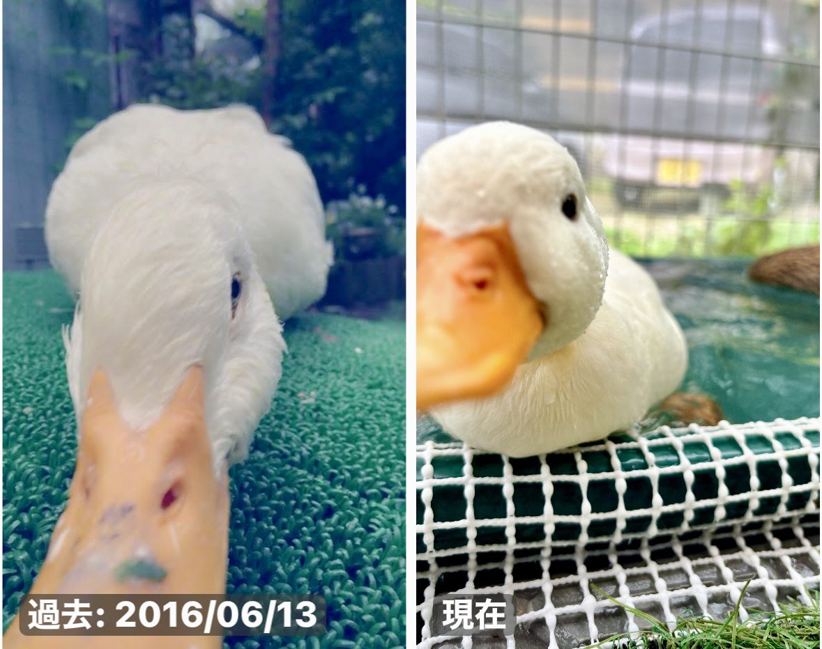 ahiraa2go's tweet photo. 10年前と今 https://t.co/imbS5IweZy
