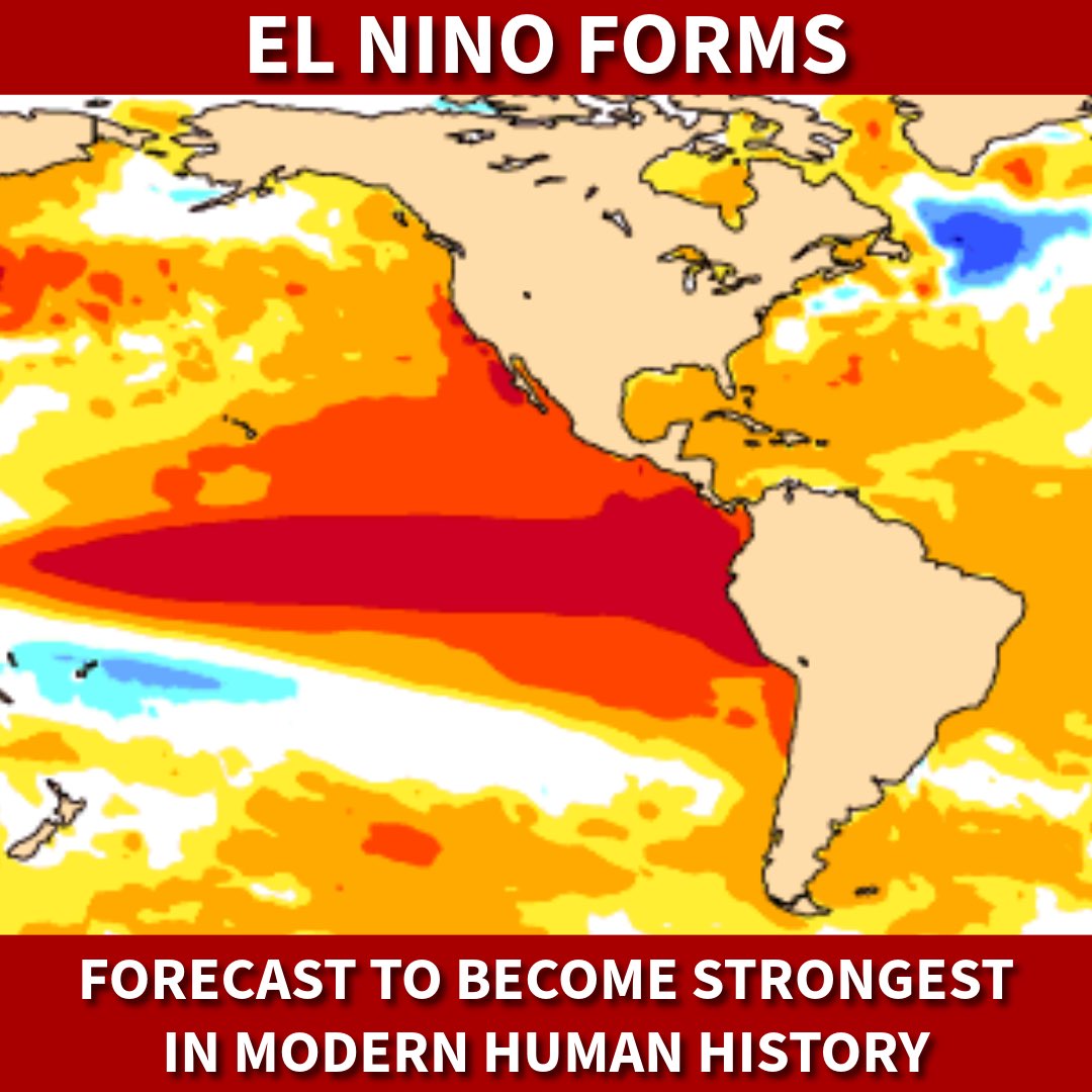 DylanFedericoWX's tweet photo. SUPER EL NINO COMING - El Niño has officially formed in the Pacific. It is forecast to become the strongest in modern human history later this year. The Pacific is going to go wild with hurricanes and typhoons this Summer and Fall. Meanwhile, I expect a VERY SLOW Atlantic hurricane season. Brace yourself for this upcoming Winter. The model data is off the charts crazy — unlike anything I’ve ever seen before. It could be a historically wet and stormy Winter for the Florida and the south due to this El Niño event. Stay tuned! #flwx