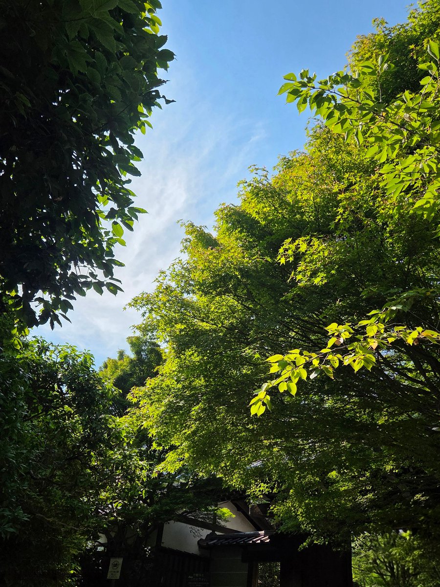 _y101s2's tweet photo. 내가 여름을 좋아하는 이유🌿 https://t.co/8QZKd9iU6r