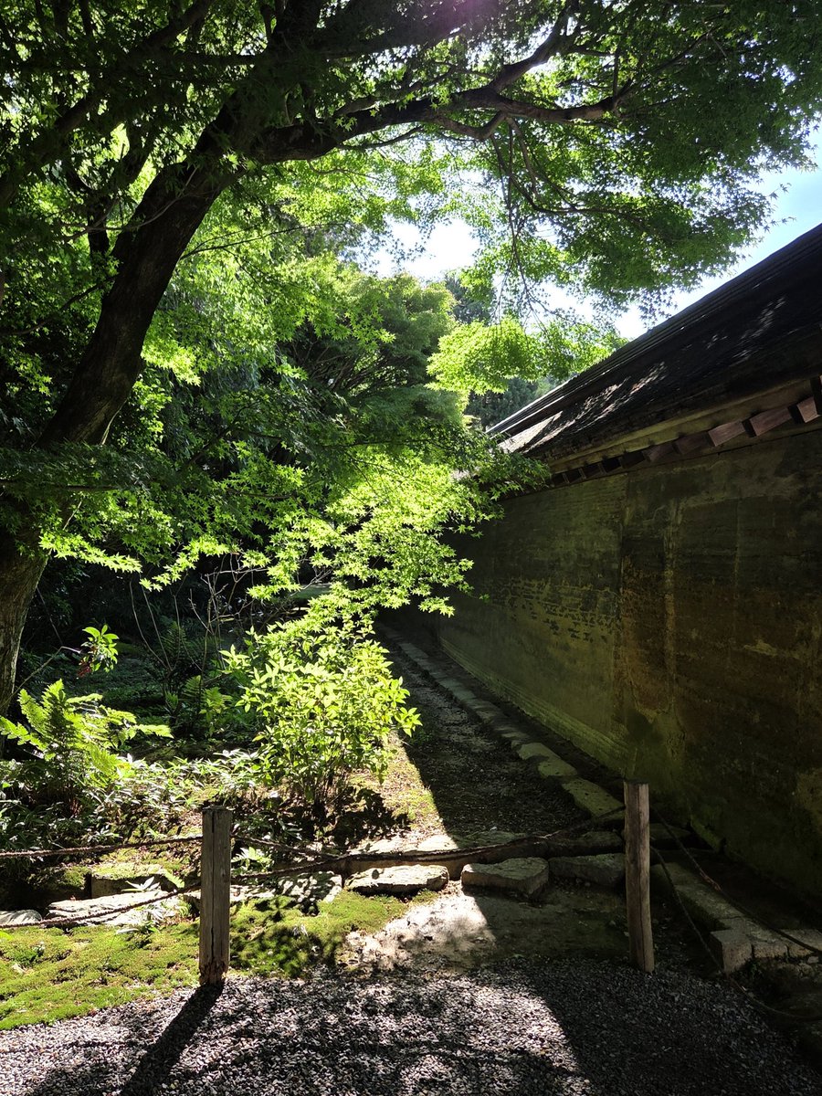 _y101s2's tweet photo. 내가 여름을 좋아하는 이유🌿 https://t.co/8QZKd9iU6r