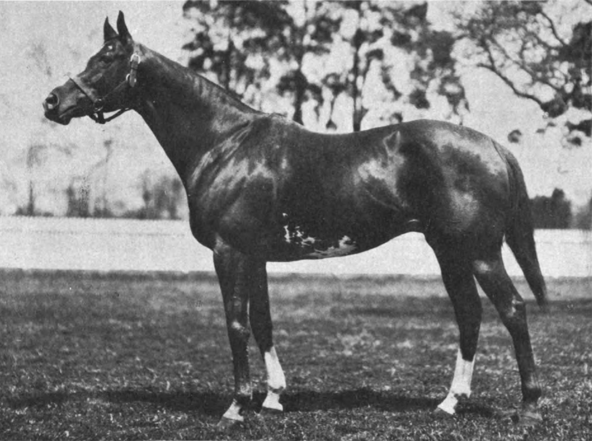 NTRA's tweet photo. Today in Thoroughbred Racing History, June 11, 1921: Grey Lag, under Earl Sande, won the first Belmont Stakes ever to be run counter-clockwise. Previous Belmonts had been run clockwise over a fish-hook course that included part of the training track and the main dirt oval. https://t.co/CU0bnHEgLI