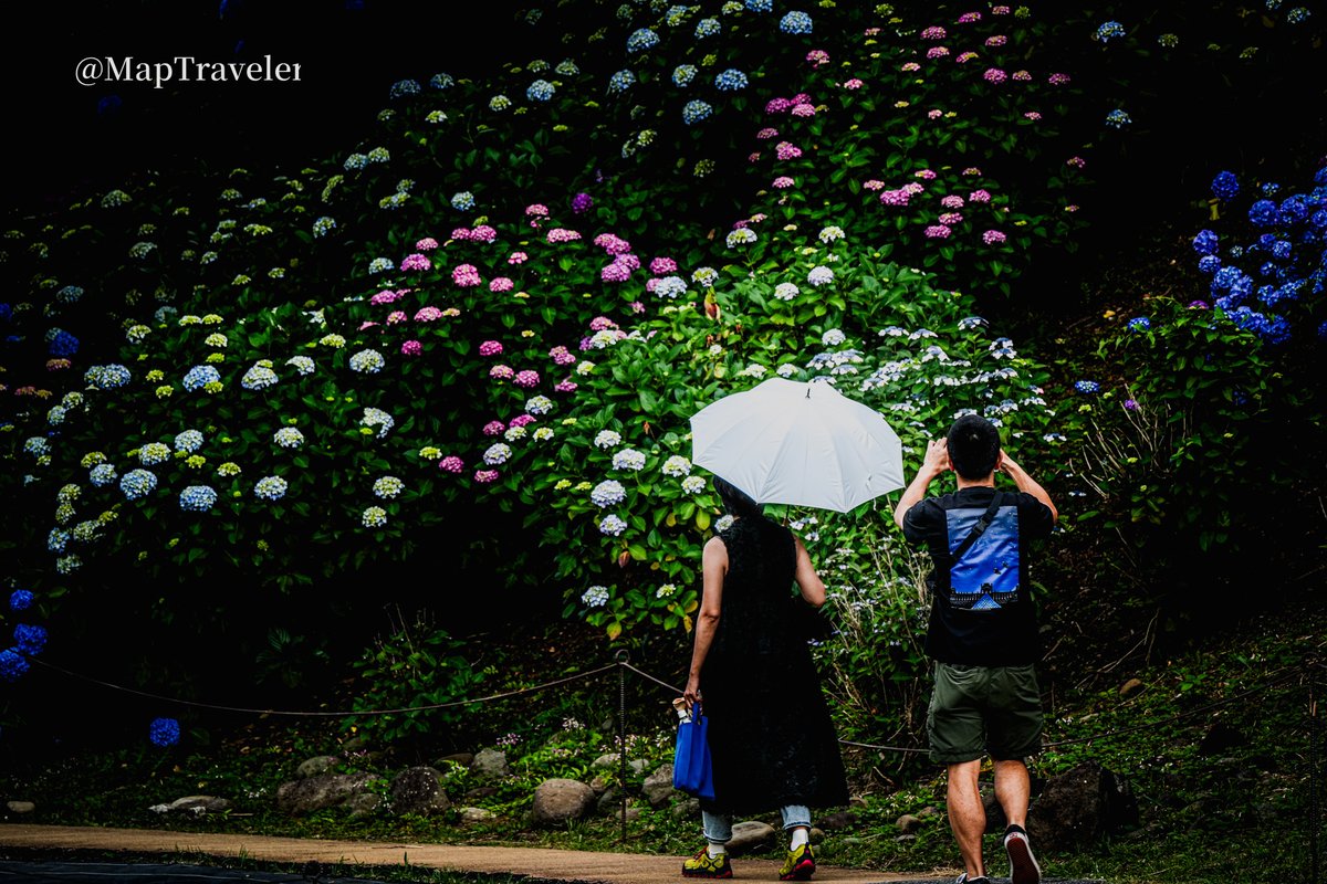 MapTraveler@Landscape tweet media