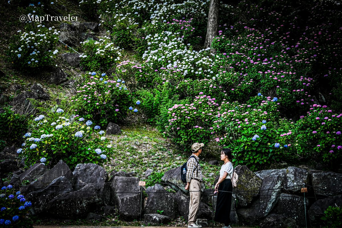 MapTraveler@Landscape tweet media