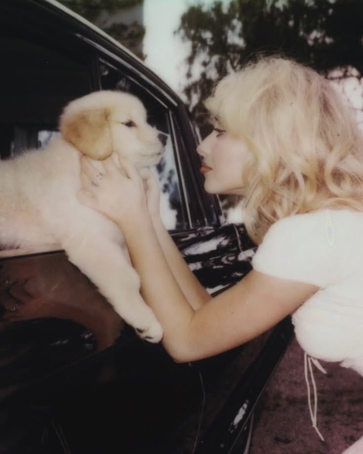 TeamSabrina's tweet photo. life got less ruff 1 year ago today when Man’s Best Friend was announced 🐾 https://t.co/7bCpmc4eba