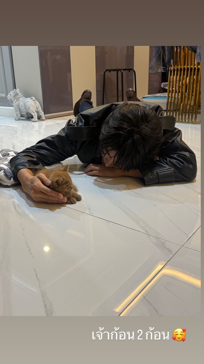 JoongOfficialTH's tweet photo. ─◍─ 11.06.2026 IGs Update 

📮 เจ้าพวกก้อน 🐱

💬 ; ran_ayd

@ChenRcj #จุงอาเชน #JoongArchen https://t.co/N2bx6ZM0g5