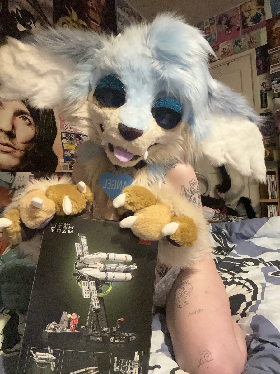 sunsceneflower's tweet photo. OG MY GOD ITS HERE!!! i can’t wait to build this with my boyfriend thank you SO SO MUCH AAAA https://t.co/GSmgDcCmpL
