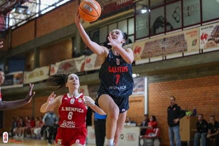 cesto1904's tweet photo. Foi eleita a Melhor Jogadora Jovem da Liga Betclic Feminina e está agora a caminho do Benfica.

Inês Neto, base/extremo de 20 anos e 1,73 m, representou o Clube dos Galitos ao longo de toda a sua carreira. Na época agora concluída, registou médias de 15,5 pontos, 2,9 ressaltos e 2,7 assistências por jogo, números que, ainda assim, não foram suficientes para evitar a despromoção do emblema aveirense.

Fonte: Diário de Aveiro