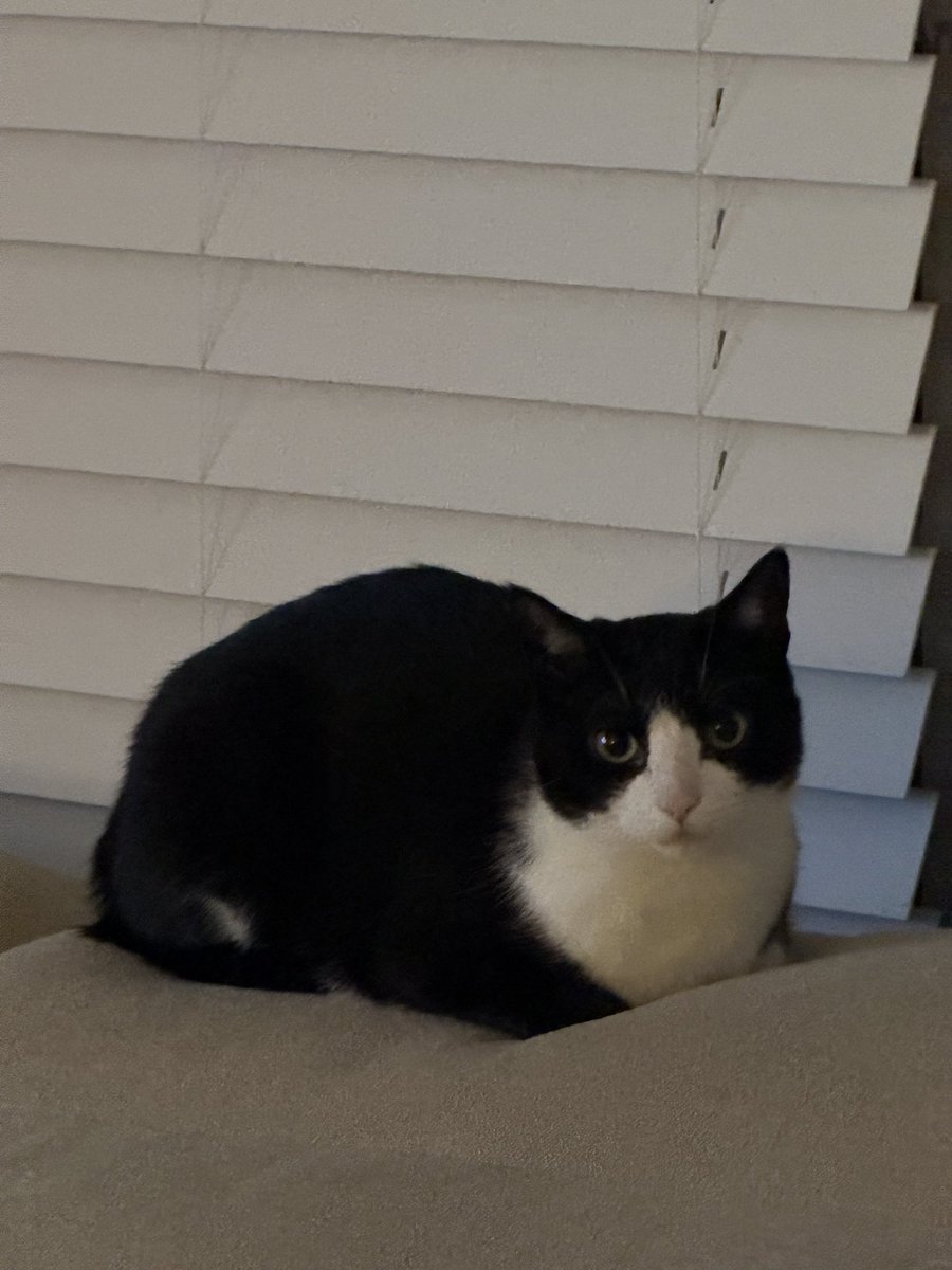 freeopioids's tweet photo. Perfect loaf again https://t.co/B8gBSyFqCo