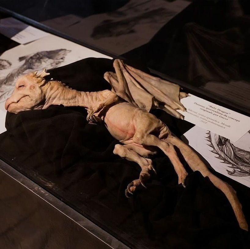 rogue's tweet photo. Reminder that Gucci had models carrying baby dragons down the runway for FW18 https://t.co/3KYCUAzxXM
