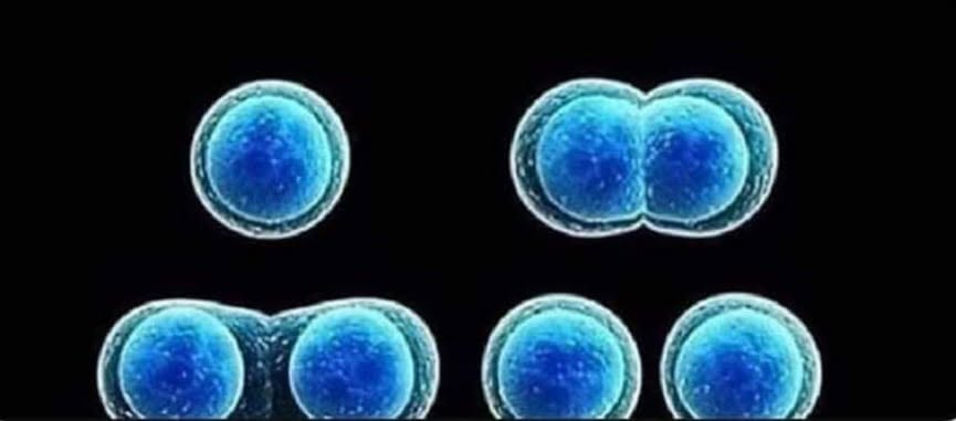 science2_0 tweet picture