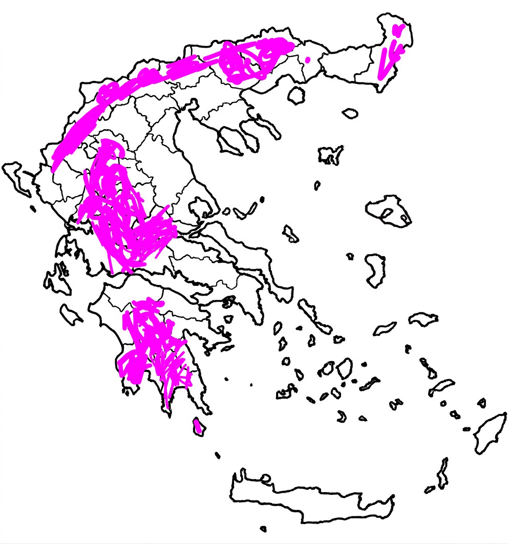Το Κρασάκι Του Τσου #Komninos_Dynasty_Association tweet media