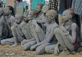 robertsepehr's tweet photo. @theblaze When you remove a population from its native habitat, skipping the copper, bronze, and iron age, and expect it to thrive in a civilization way above its intellectual and emotional endowment, you can expect constant violence, racial resentment, and perpetual victimhood mentality. https://t.co/s1N40LP1vZ