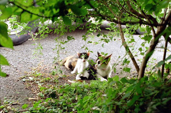 xml_xsl's tweet photo. 雨の日の釣り師-5738 | 太陽風ДζΨΠ∀
 https://t.co/MqP4SL5342 #Amebaブログ #アメブロ https://t.co/seGtxIOC59