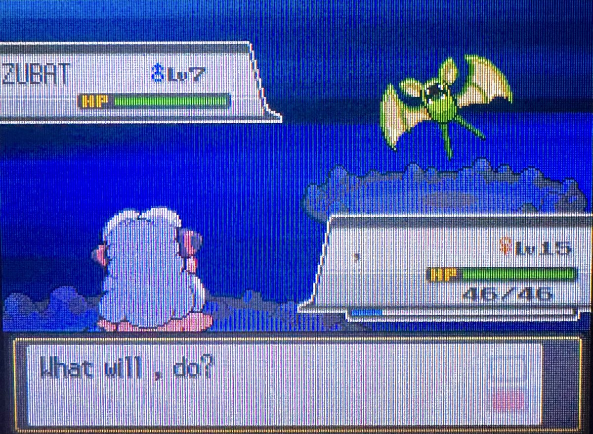 Shiny_Seeker's tweet photo. The first 4 members of my SS Badge Quest 🙂

🍃 Chikorita - 8,463
🦇 Zubat - 619
👸🏼 Nidoran - 2,141
🐸 Poliwag - 11,616 https://t.co/yKxG2Pm85r