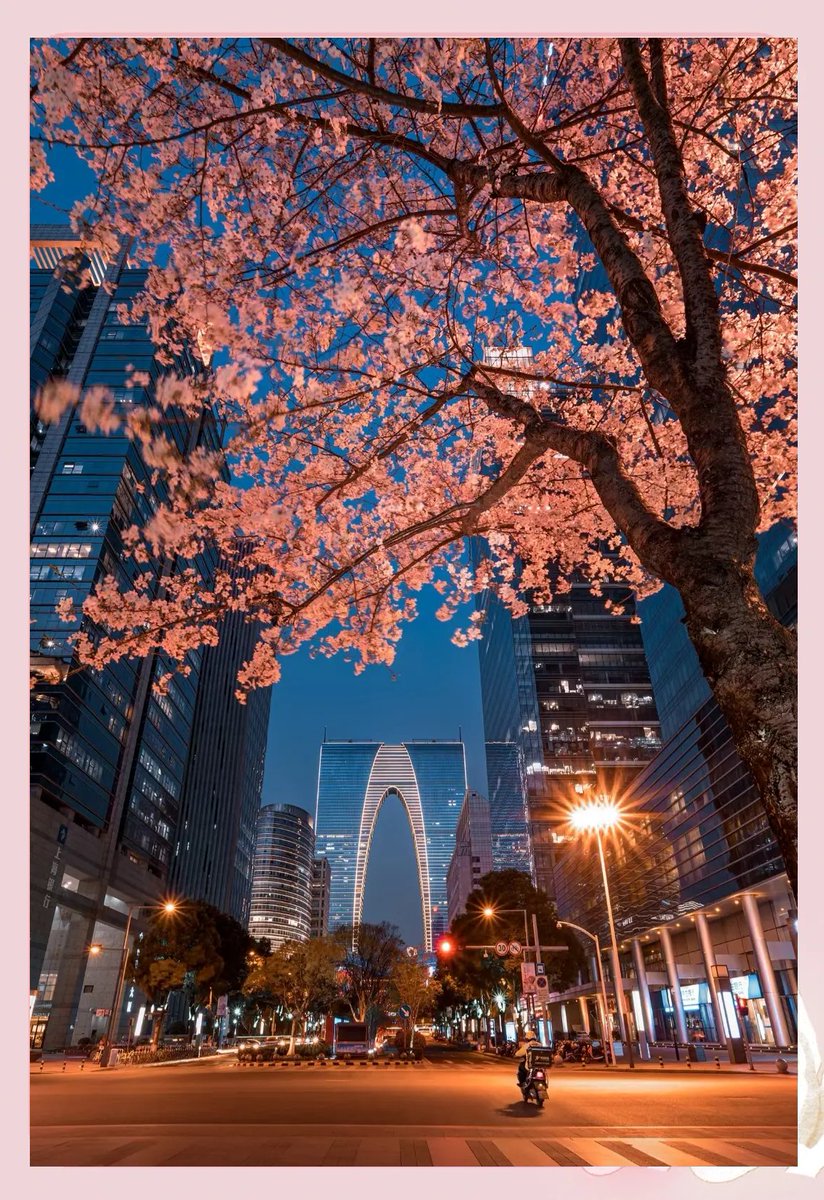 Yulia_DM's tweet photo. Just landed in the city of cherry blossoms  The spring adventure starts now! https://t.co/vD8G9cVu8D