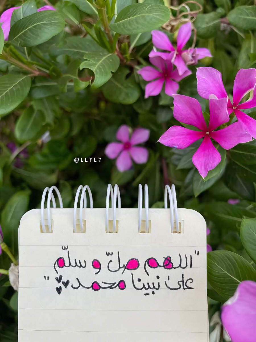 Ashaaban46's tweet photo. " لَكَ مُهجَتِي صـَلَّت عليكَ بنبضِها
ما الحبُّ إن بخلَ المُحبُّ بمهجتِه

فَعلى عَظيمِ الخلق صلِّ محبةً
يكفيكَ أنك واحـدٌ مـن أمَّتِه ".

اللَّهُمَّ صَلِّ وَسَلِم عَلَى نَبِينَا مُحَمَّد♥ . https://t.co/KCCD9D7MFv