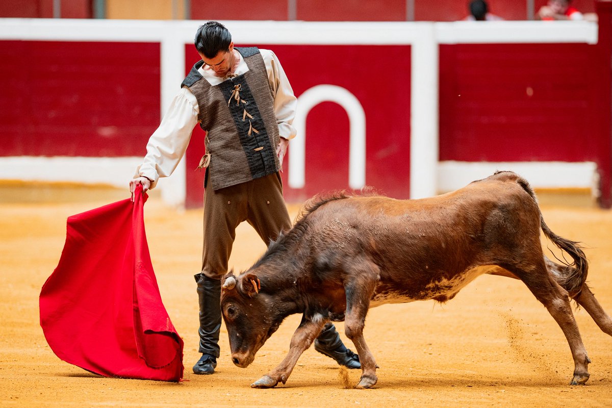 TorosenLogrono's tweet photo. 3️⃣ • Javier Fernández Fino premiado con la vuelta al ruedo en el tercero de la tarde

#TorosEnLogroño https://t.co/AEN0FzJSjF